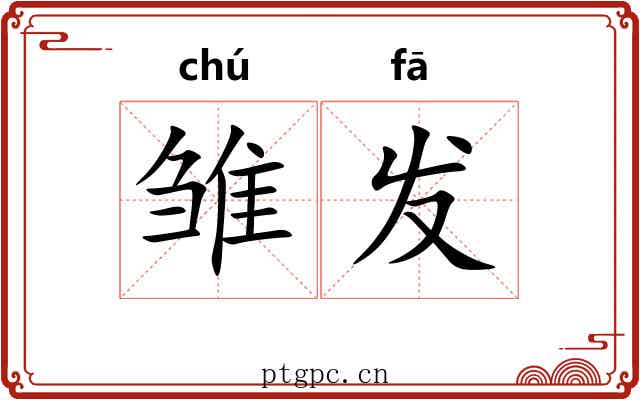 雏发
