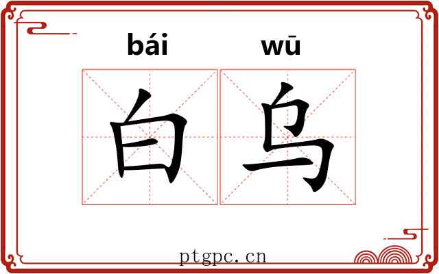 白乌 白乌