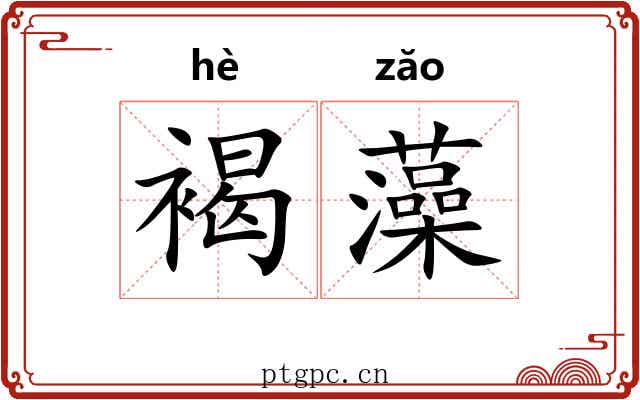 褐藻 褐藻