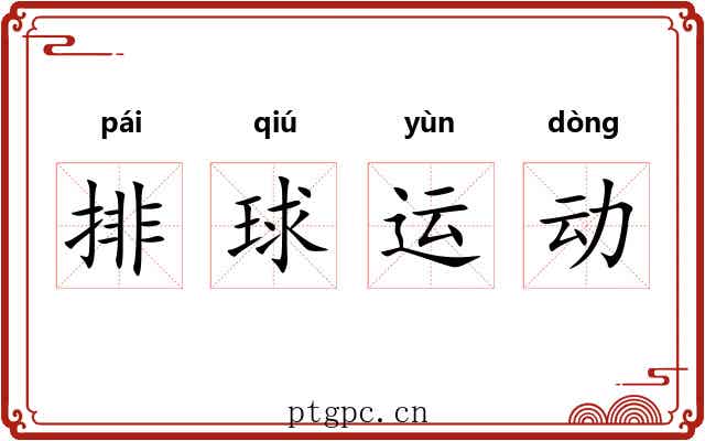 排球运动 排球运动
