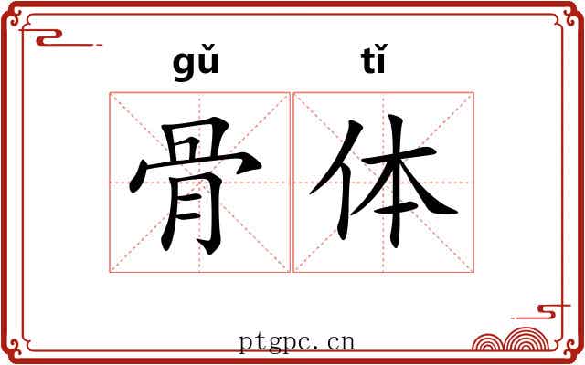 骨体 骨体