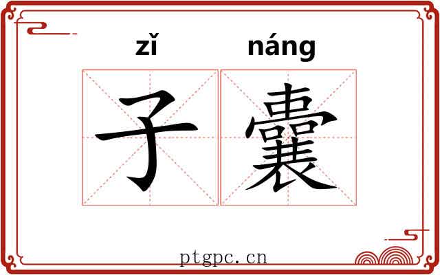 子囊 子囊