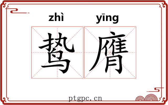 鸷膺