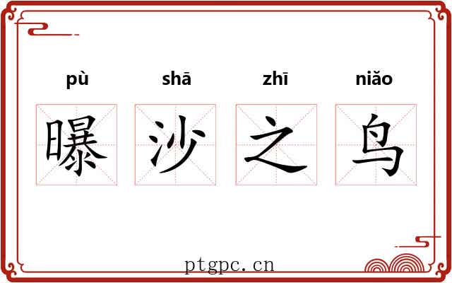 曝沙之鸟