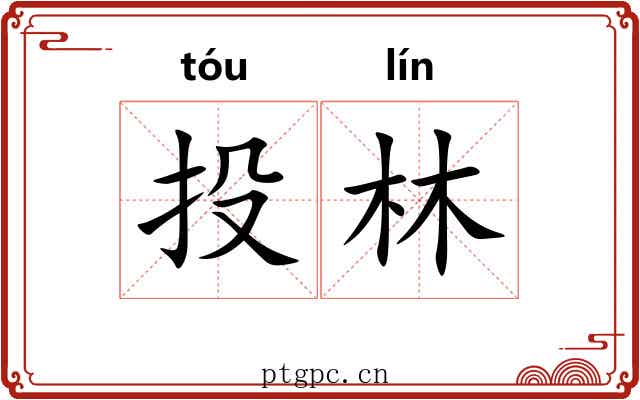 投林 投林