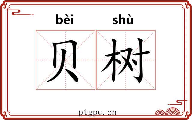 贝树