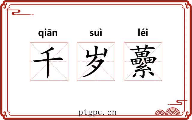 千岁虆 千岁虆