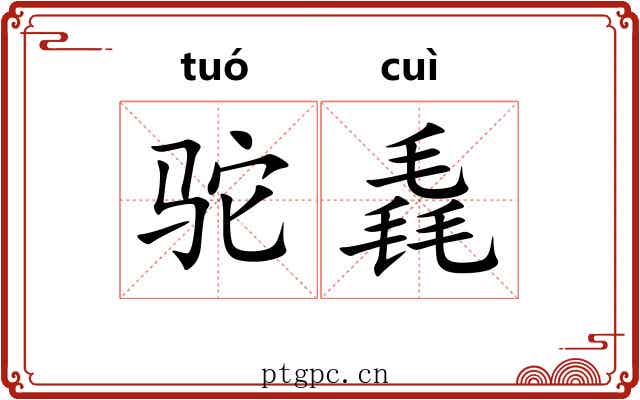 驼毳