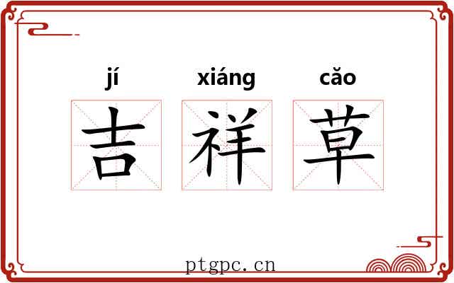 吉祥草 吉祥草