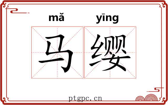 马缨