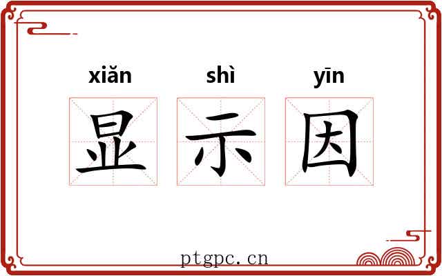 显示因 显示因