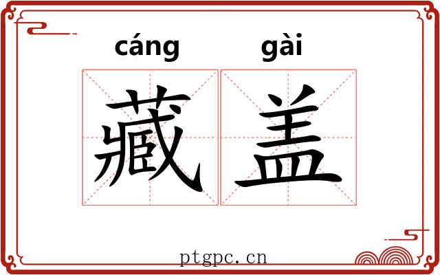 藏盖