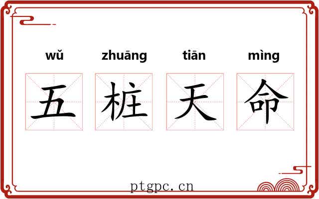 五桩天命 五桩天命