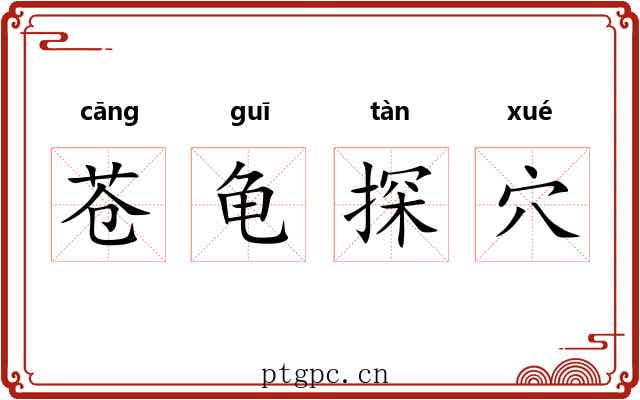 苍龟探穴 苍龟探穴