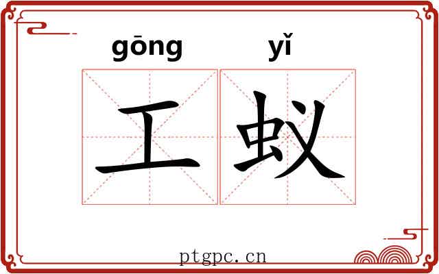 工蚁 工蚁