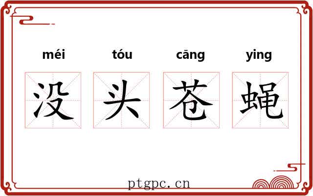 没头苍蝇 没头苍蝇
