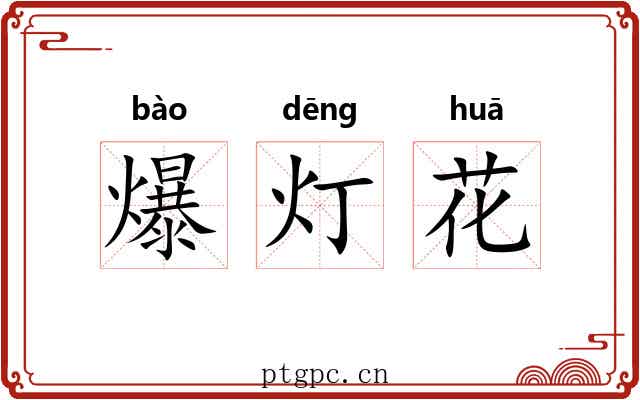 爆灯花 爆灯花