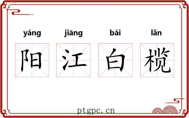 阳江白榄 阳江白榄