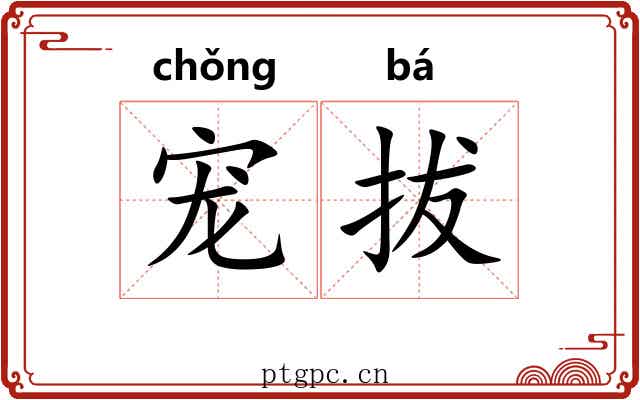 宠拔
