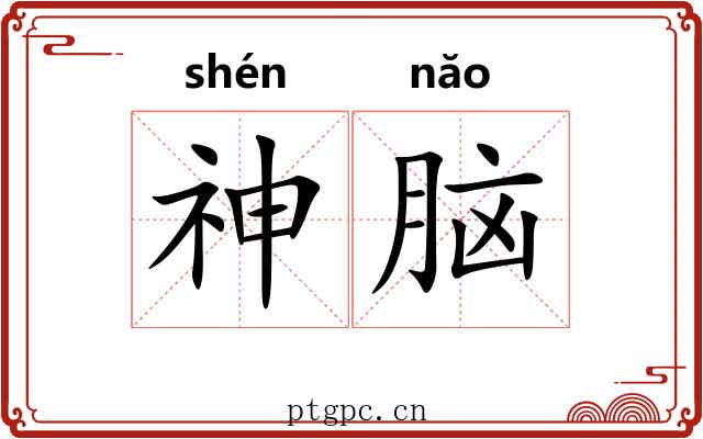 神脑 神脑
