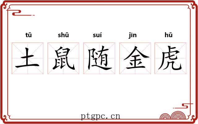 土鼠随金虎 土鼠随金虎
