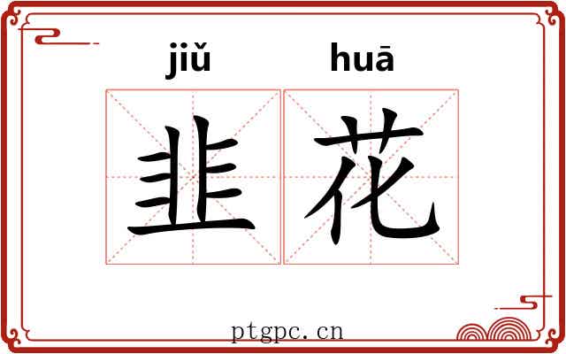 韭花 韭花