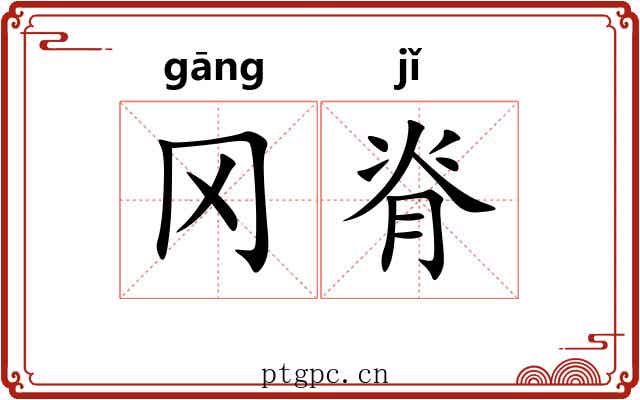 冈脊