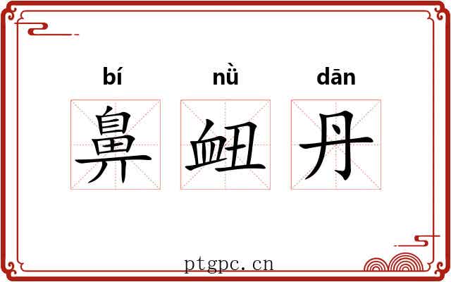 鼻衄丹