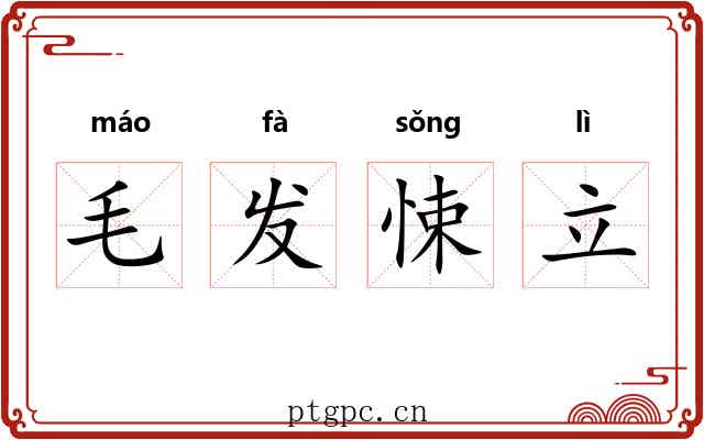 毛发悚立 毛发悚立