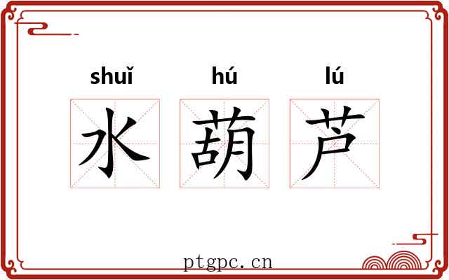 水葫芦 水葫芦
