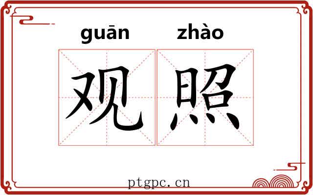 观照