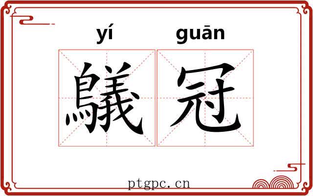 鸃冠