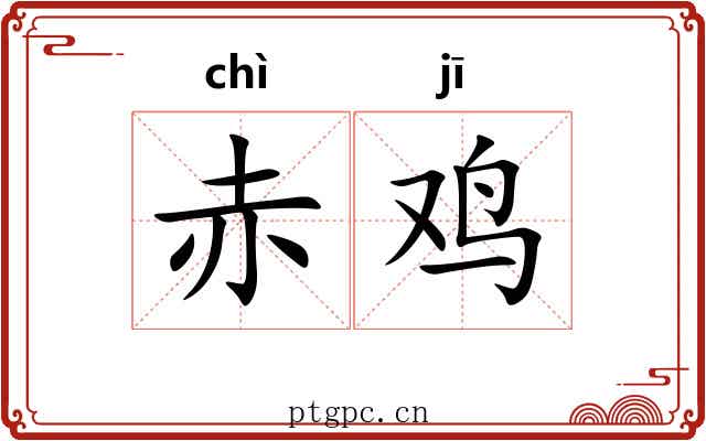 赤鸡
