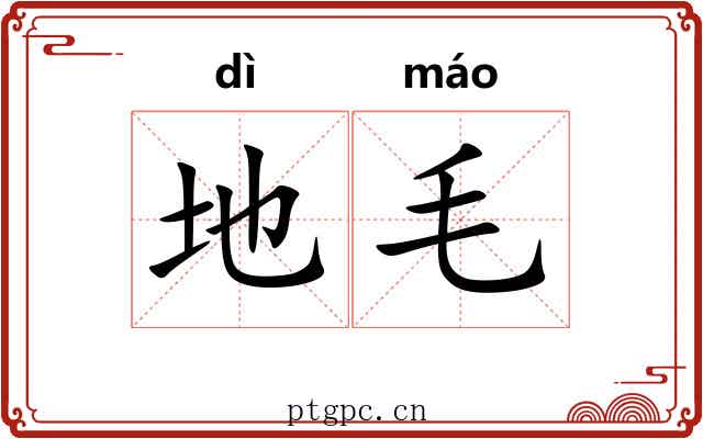 地毛 地毛