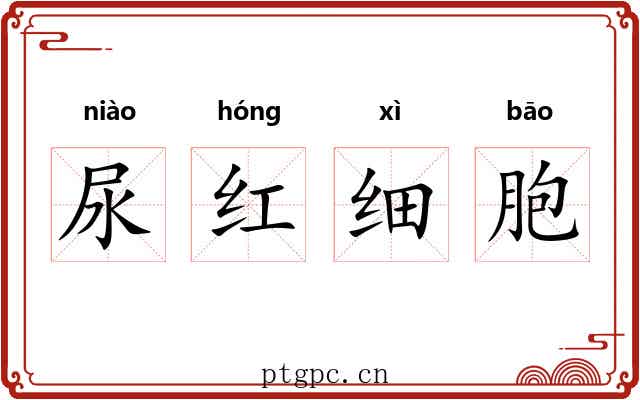 尿红细胞 尿红细胞