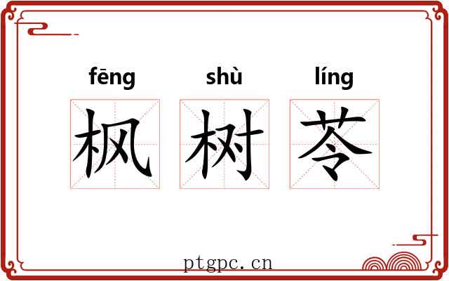枫树苓