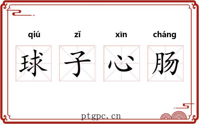 球子心肠 球子心肠