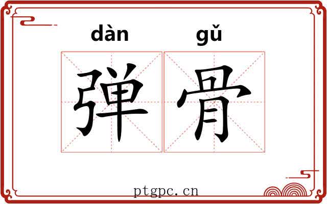 弹骨 弹骨