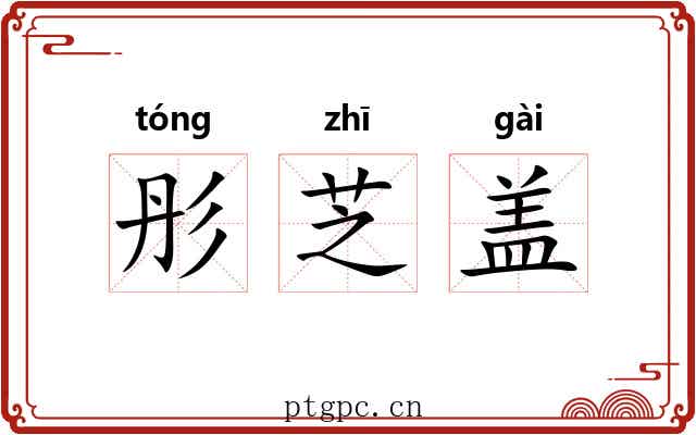 彤芝盖