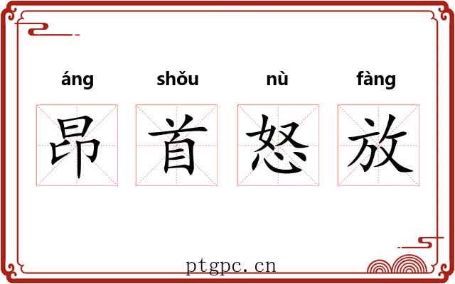 昂首怒放 昂首怒放