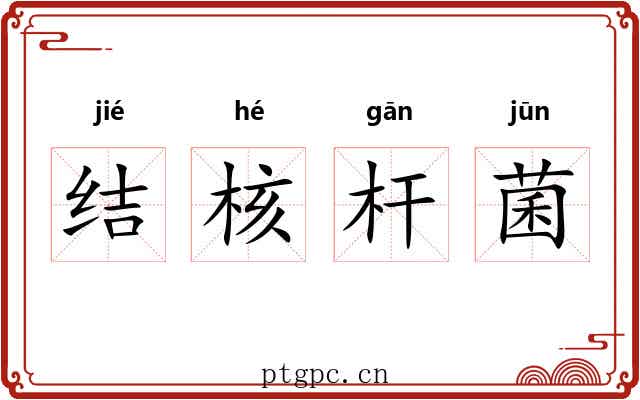 结核杆菌 结核杆菌