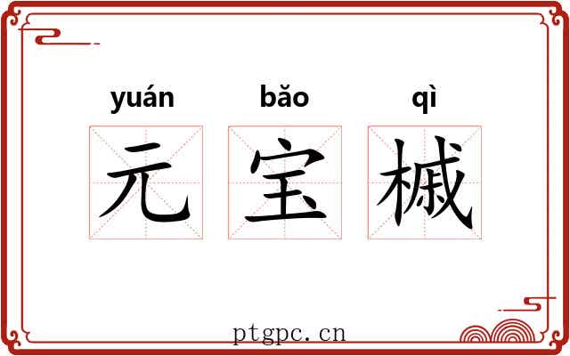 元宝槭