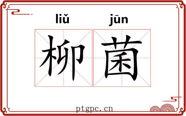 柳菌