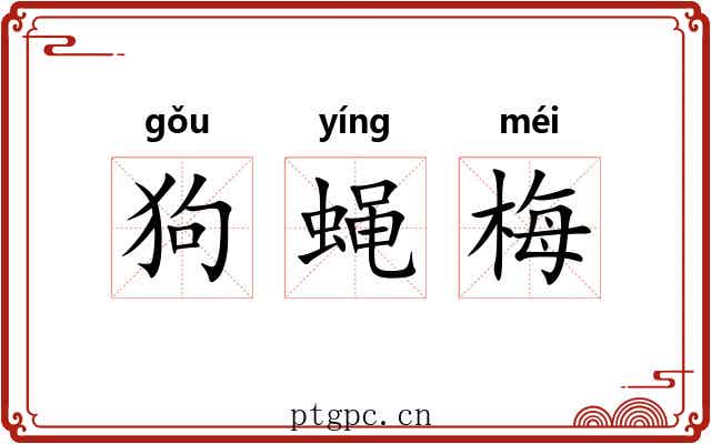 狗蝇梅 狗蝇梅