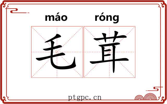 毛茸 毛茸