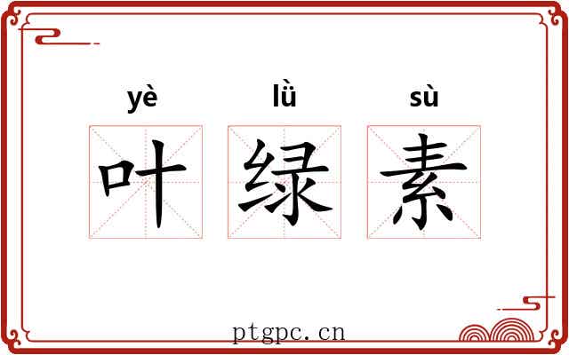 叶绿素 叶绿素