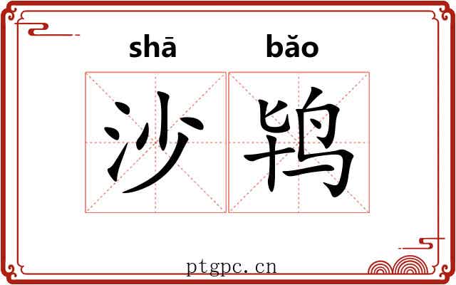 沙鸨