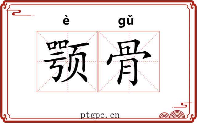 颚骨 颚骨