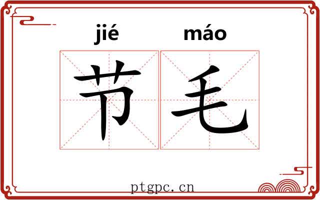 节毛