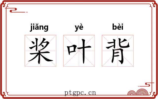 桨叶背 桨叶背